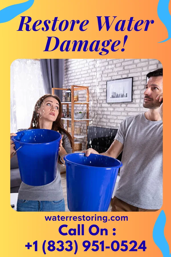 water restoration Coastal Damage Recovery Company Brownsville