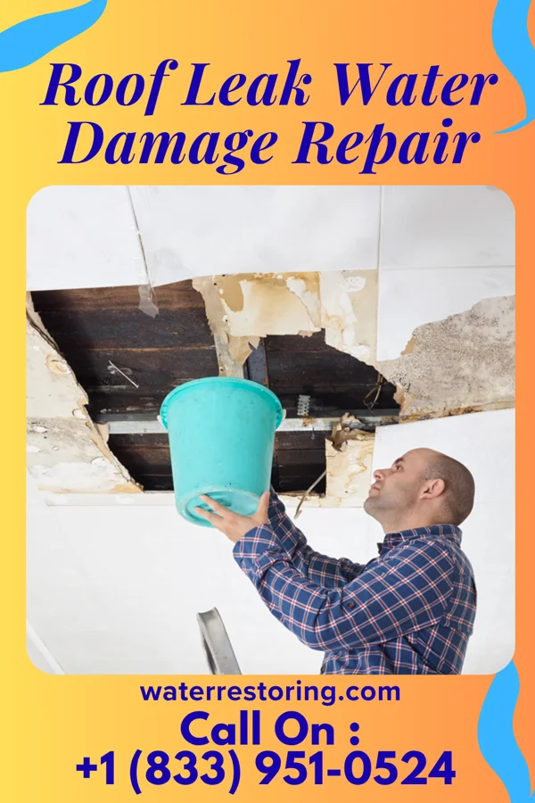 Roof Leak Water Damage Repair in Brownsville, OR