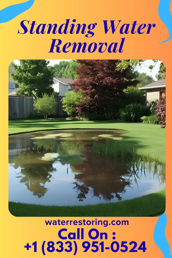 Standing Water Removal in Brownsville, OR